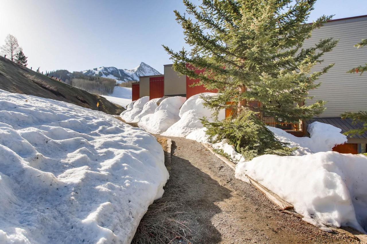 Ski-In Ski-Out Studio Private Balcony & Fireplace Condo Crested Butte Luaran gambar