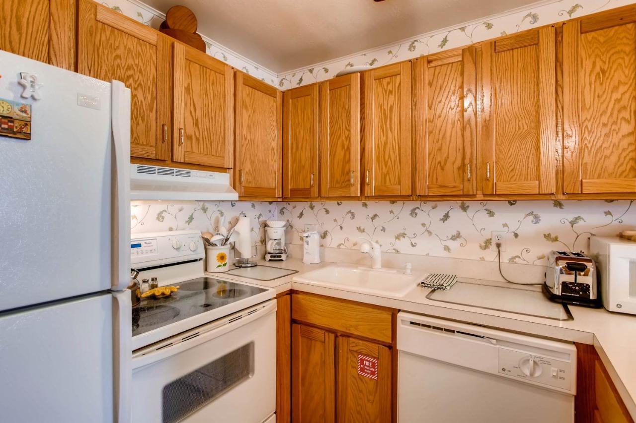 Ski-In Ski-Out Studio Private Balcony & Fireplace Condo Crested Butte Luaran gambar